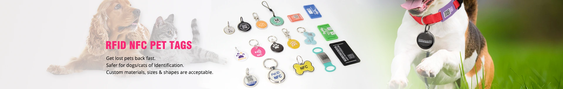 NFC Pet Tags — Tap-to-Scan Companion-Animal ID