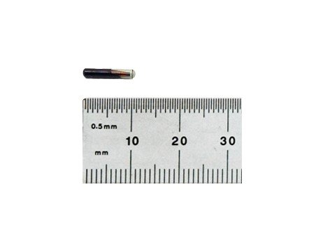 RFID Fish Tag (PIT) — Aquaculture & Fisheries ID