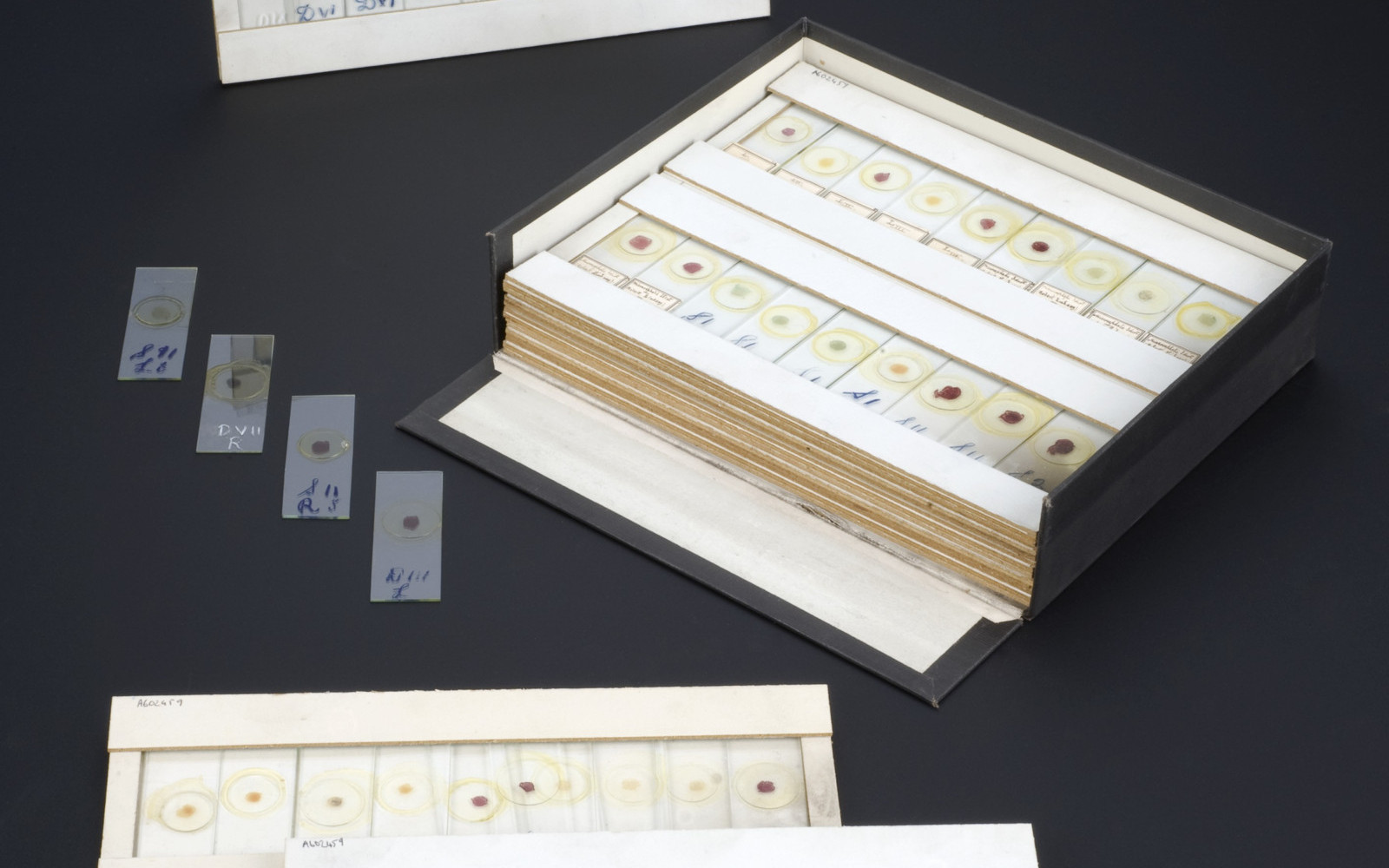 RFID Specimen Slide Label